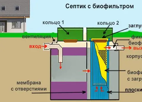 Что «ест» биофильтр, а что его убивает: как бытовая химия влияет на работу септика